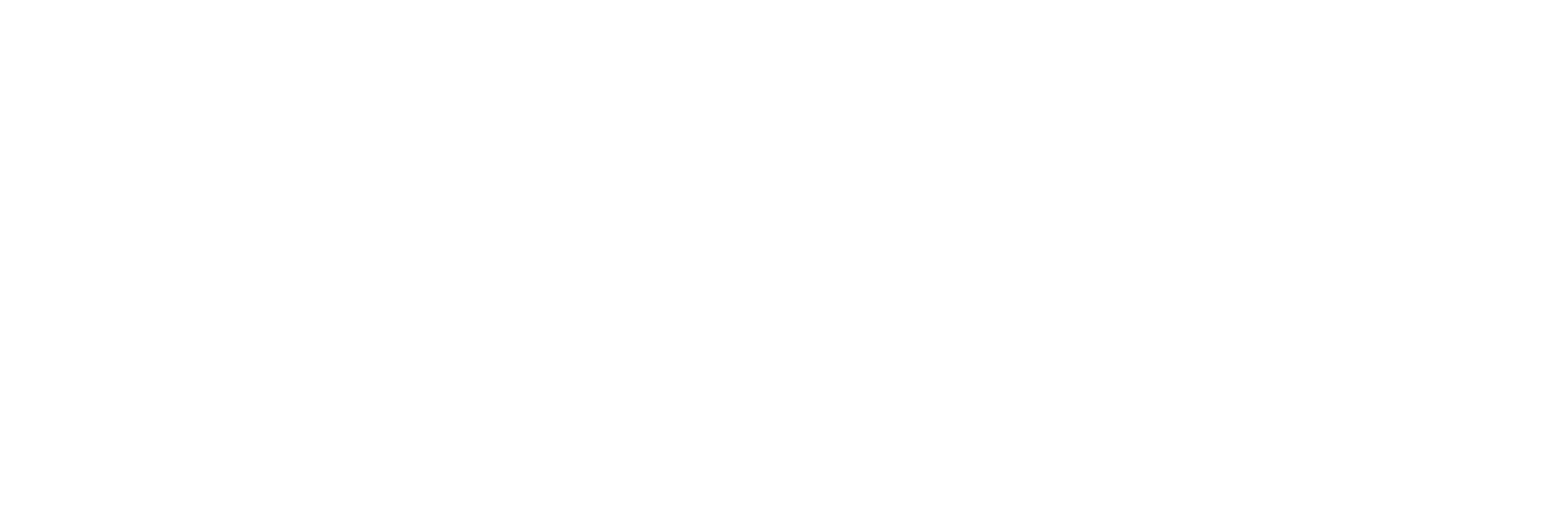 北中网芯官网